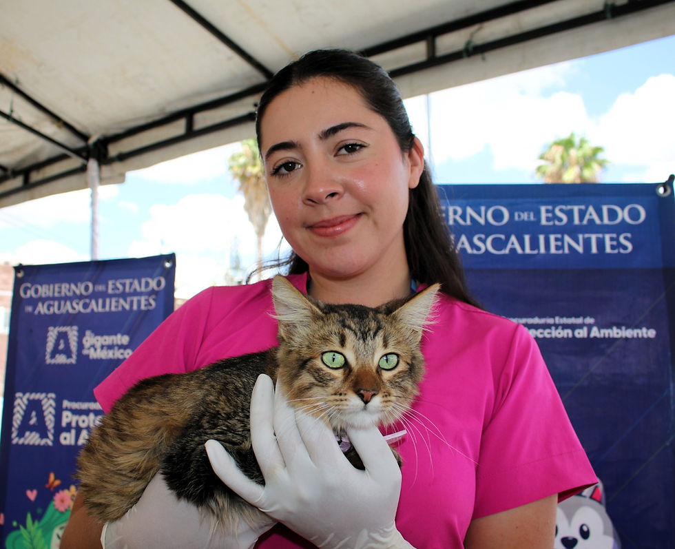 ¡Gracias, San Francisco de los Romo! 🐱🐶
