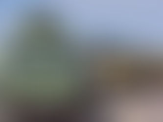 REFUERZAN OPERATIVO CONJUNTO PARA GARANTIZAR SEGURIDAD DE LAS FAMILIAS ESTA NOCHEBUENA