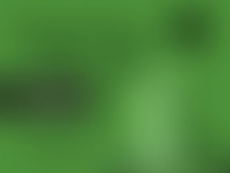 CRICRI EN AGUASCALIENTES