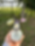 Thumbnail: The Audrey Bouquet 