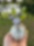 Thumbnail: Sweet Nothings- Glass Garden 