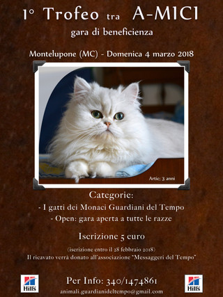 Grande evento dei Monaci Guardiani del Tempo.