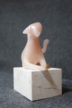 Cats Grooming ( Gorgeous Cats serie)