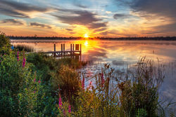 istockphoto-1331688225-612x612