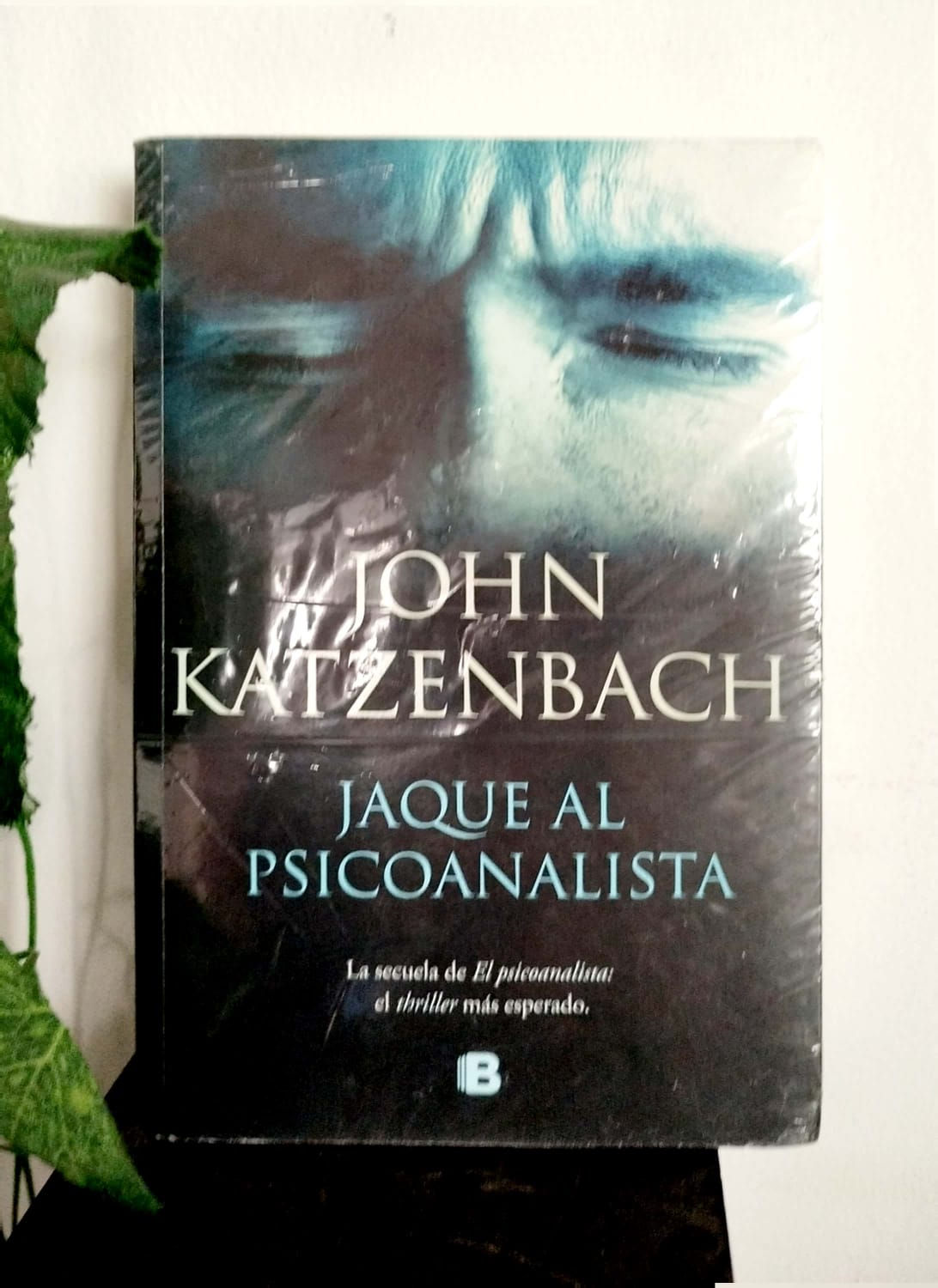 Jaque al psicoanalista.  John Katzenbach.