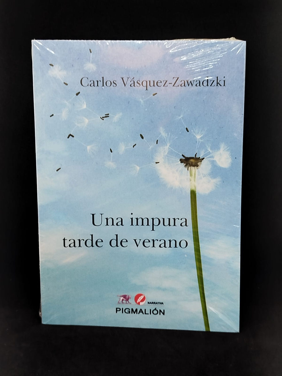 Una impura tarde de verano Carlos Vásquez-Zawadzki