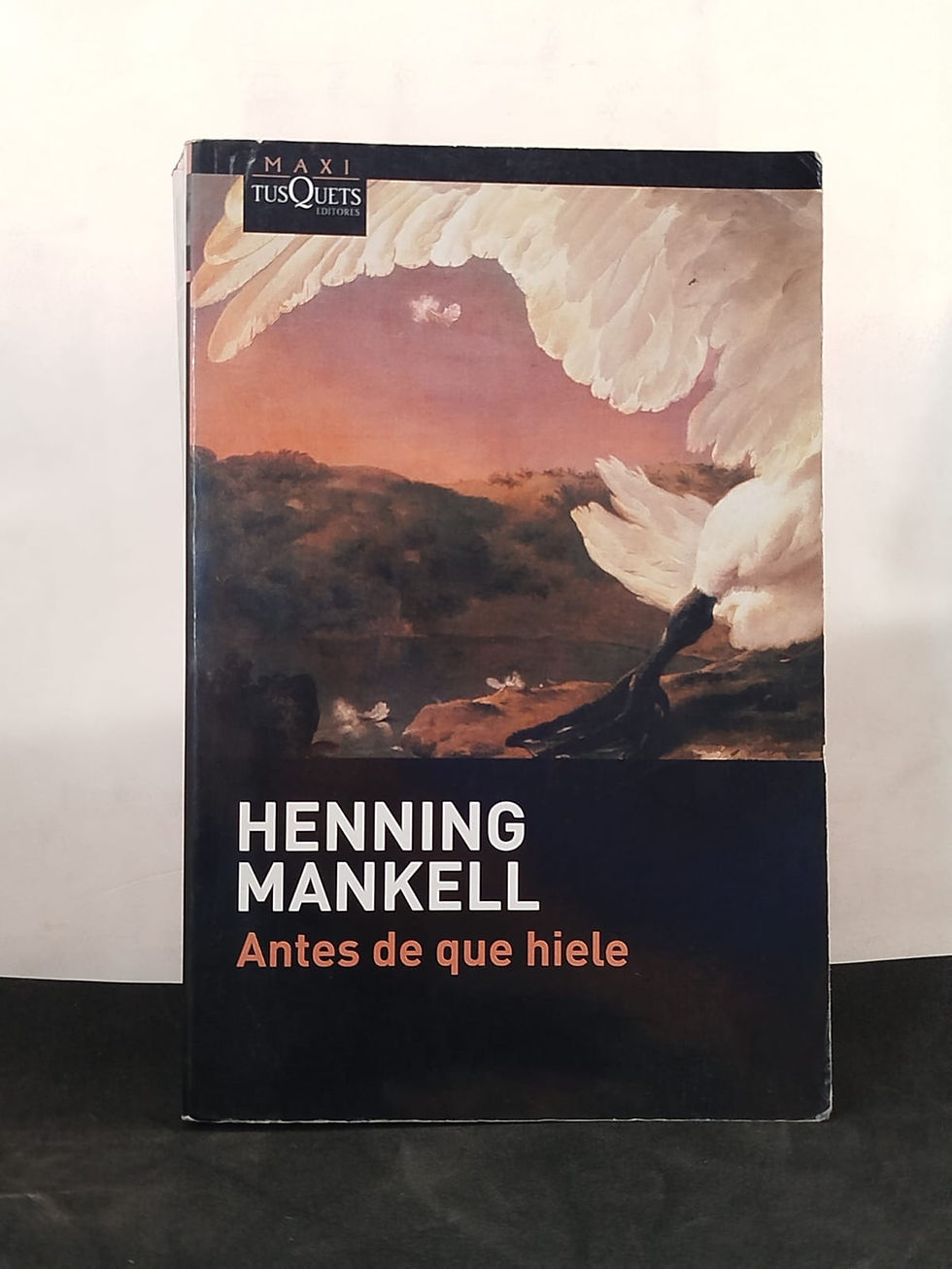 Antes de que hiele Henning Mankell