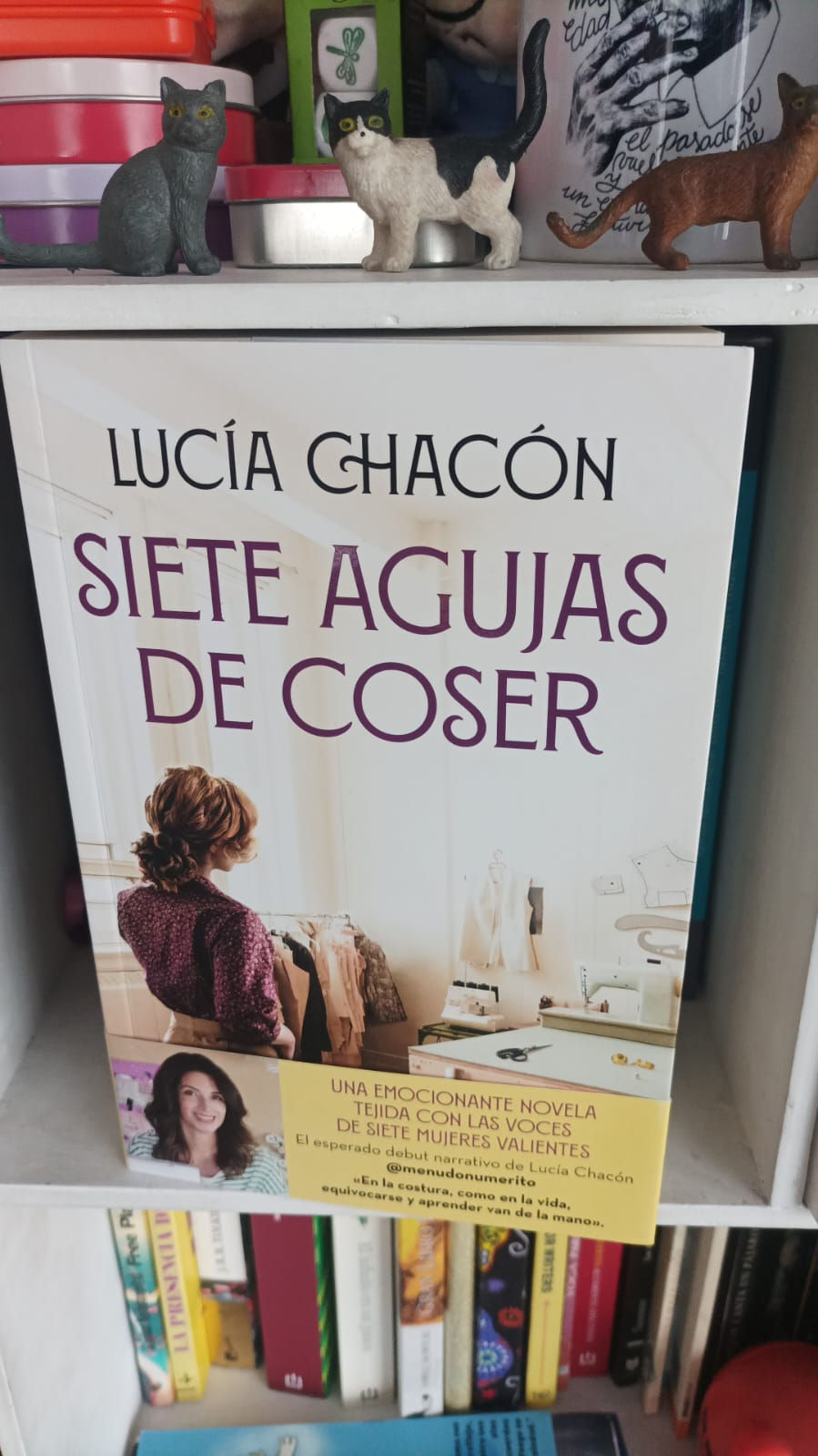 Siete agujas de coser. Lucía Chacón.