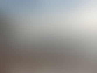 Centers of Intelligence