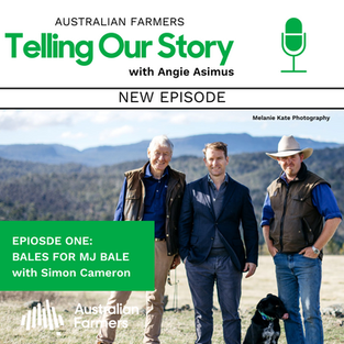 Episode 1- Bales for MJ Bale