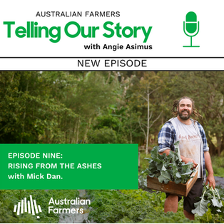 Episode 9 - Rising from the Ashes