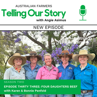 Four Daughters Beef
