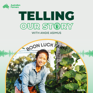 S4 Ep 9 - Boon Luck Farm