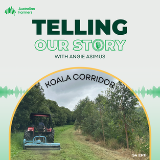 S4 Ep 11 - Koala Corridor
