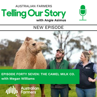 Episode 47 - The Camel Milk Co.