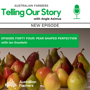 Episode 44 - Pear Shaped Perfection