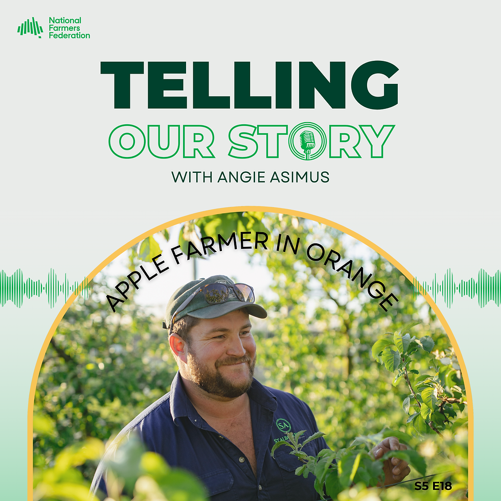 S5 Ep 18 - Apple Farmer In Orange