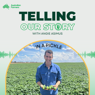 S4 Ep 7 - In a Pickle