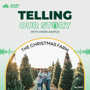 S4 Ep 14 - The Christmas Farm