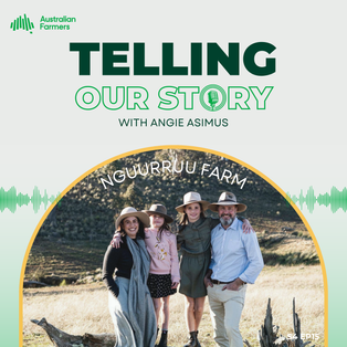 S4 Ep 15 - Nguurruu Farm