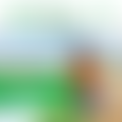 Episode 8 - Asian Veggies In The Top End