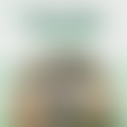 S5 Ep 8 - Storybook Alpacas