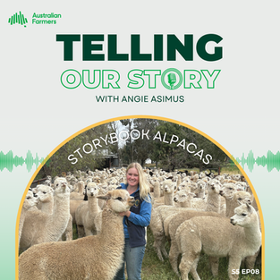 S5 Ep 8 - Storybook Alpacas