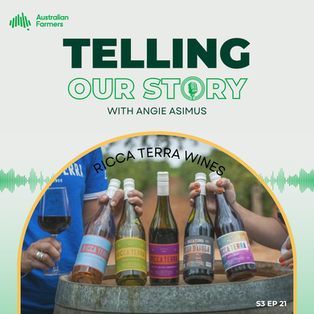 S3 Ep 21 - Ricca Terra Wines