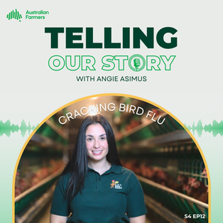 S4 Ep 12 - Cracking Bird Flu