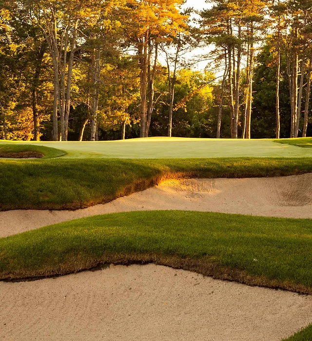 Couples Member/Guest