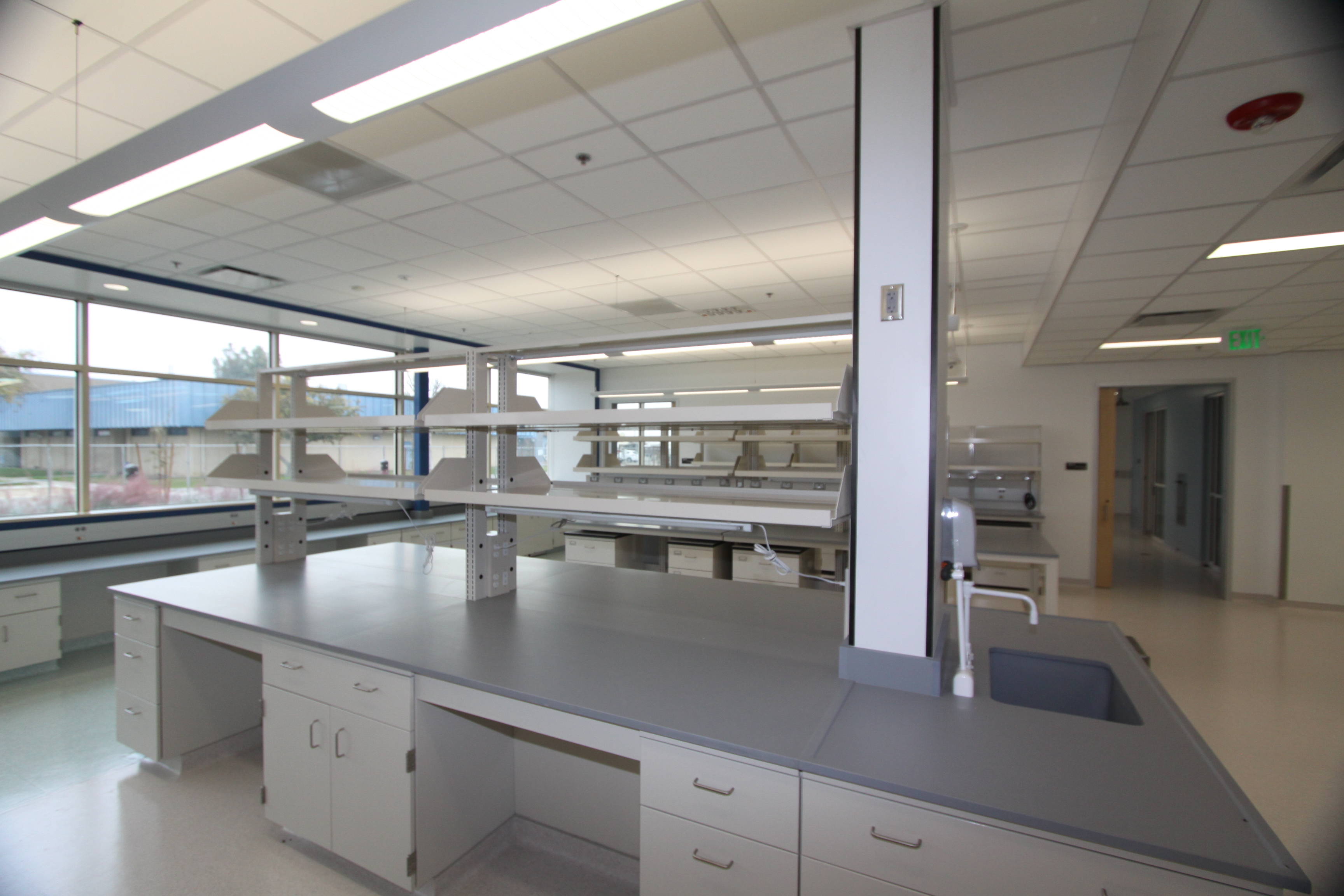 UC Davis