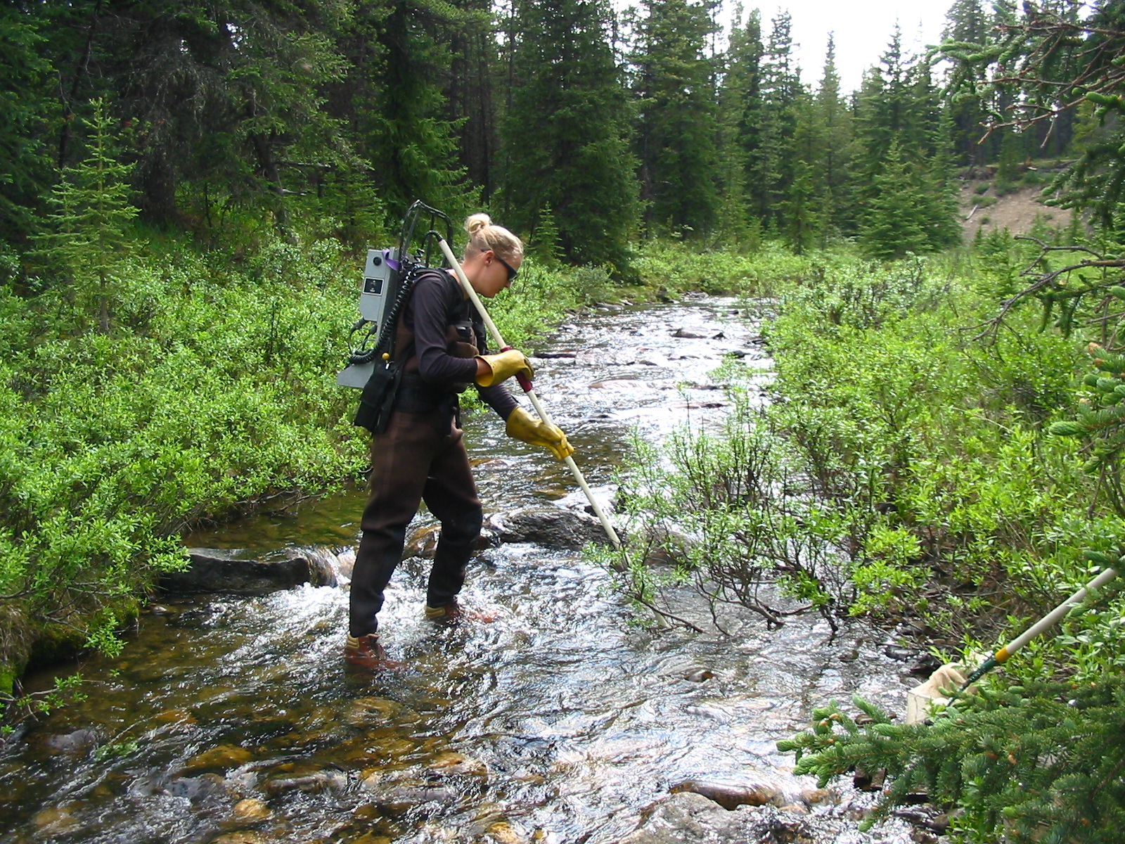 aquatic consulting engineers aquatic consulting engineers