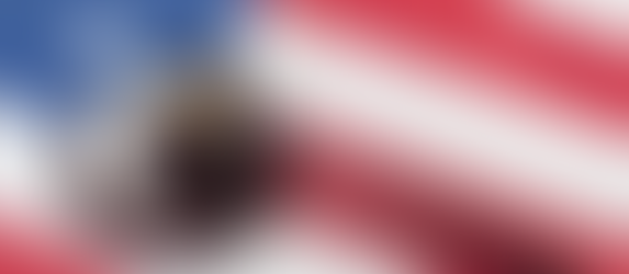 RNC's 'Protect the Vote' Filed Over 100 Election Lawsuits