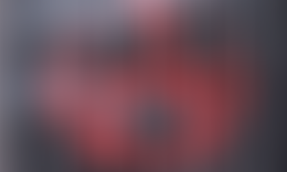 San Diego Judge Finds Antifa Members Guilty