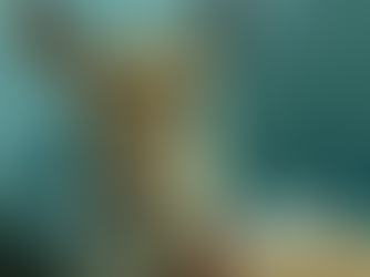 100% Fatal ‘Zombie Deer Disease’ Could Mutate to Infect Humans