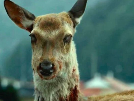 100% Fatal ‘Zombie Deer Disease’ Could Mutate to Infect Humans