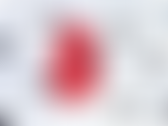 HSI in Charge of Trump Rally, Not SS