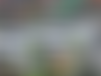 Dublin Child Stabber Supposed to be Deported in 2003