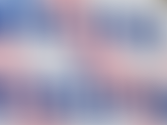 Opinion: Dems fight Many Election Securities Americans Want