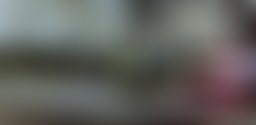 More Video Viewed of RNC Pipe Bomber Suspect