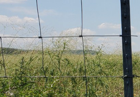 Dem Rep Suggests Ranchers Pay Atty Fees for Damage to Property Made by Illegal Aliens