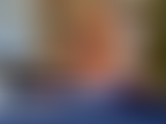 Professor Rachel Paine Explains How A Caucus Works in Iowa