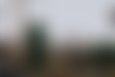 Audio forensics suggest as many as three weapons fired at Trump rally