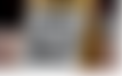 9th Circuit Court Rules AZ Can Reject Voter Forms That Don't Prove Citizenship