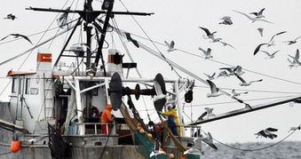 SCOTUS Ruling On Chevron Case Puts Power Back w/ Congress