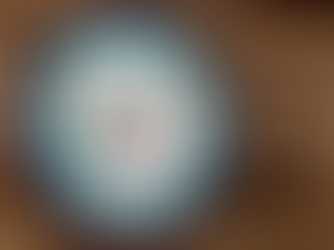 Senate Rep Will Oppose Bill If No $ For US Border Security