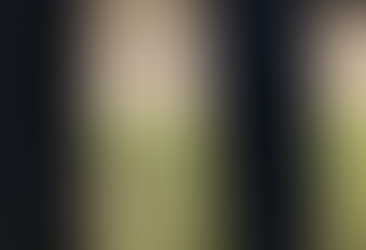 TX Senate Discusses Border Wall