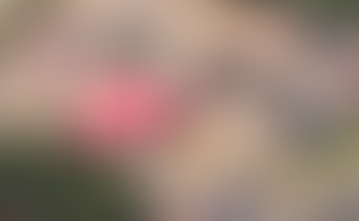 Illegal Immigrant Kills 2 in Irving, TX Chick-fil-A