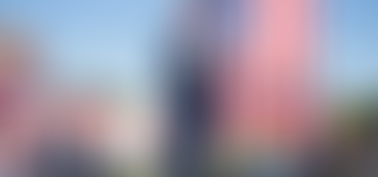 Rep Party Platform Approved 84-18