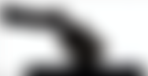 TX Doesn't Have Program to Investigate, Clean Voter Rolls